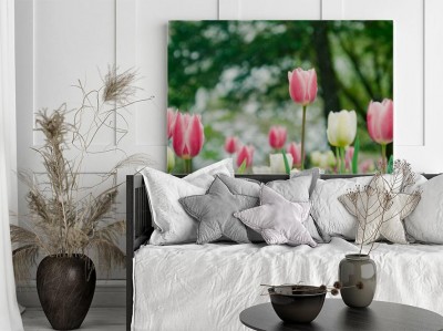 tulipany-na-tle-rozmytych-drzew